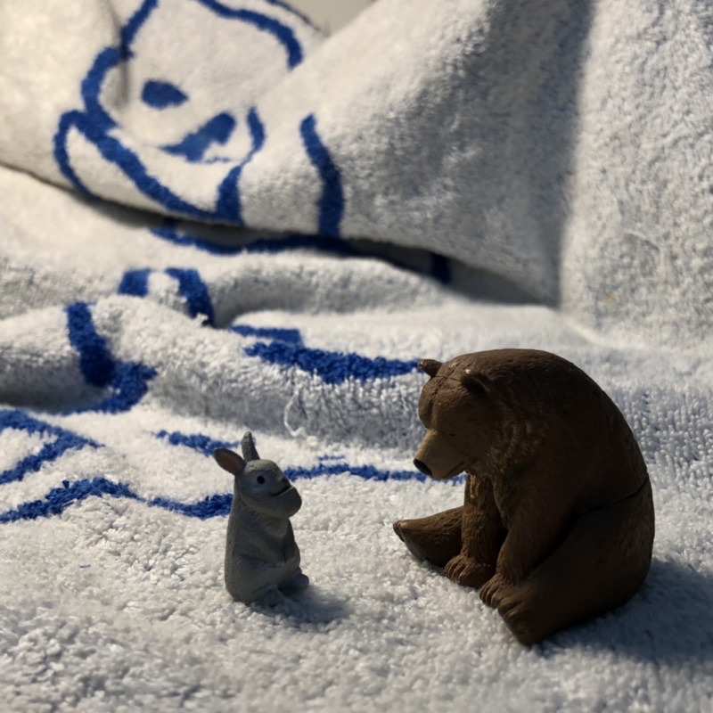 二手扭蛋 休眠動物園棕熊/戽斗兔子