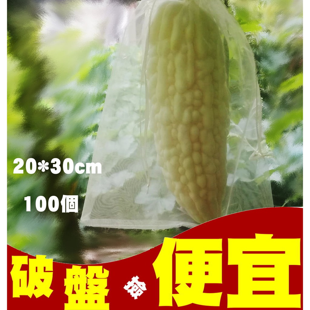 +立春小農+20＊30（100個280元）雙拉繩可重覆使用水果套袋雪紗袋紗網袋苦瓜絲瓜套袋