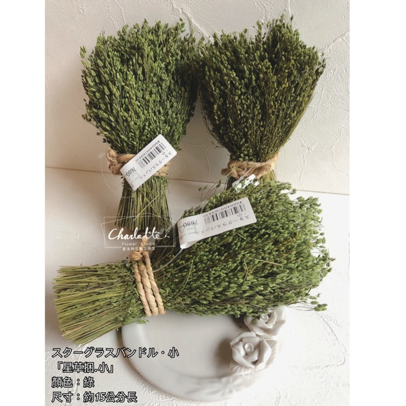 花束700 拍賣 評價與ptt熱推商品 21年6月 飛比價格