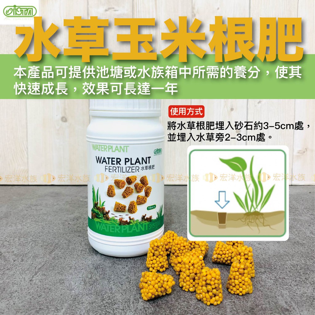 Ista 水草玉米粒根肥 散裝特賣 伊士達台灣水族領導品牌 水草缸 水草養殖 水草液肥 水草根肥 黑土 水草造景 蝦皮購物