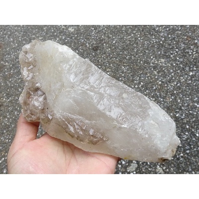 ~shalin-crystal~手握式~超完整優質巴西鱷魚骨幹水晶~1.543公斤~能量優質~低價起標!