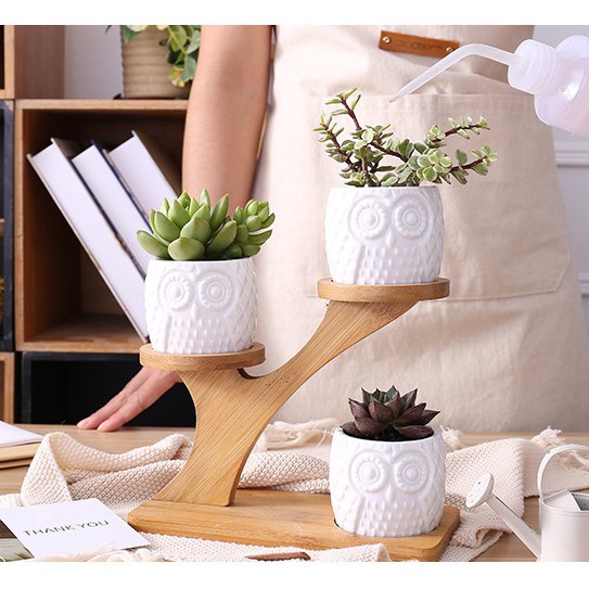 拾 沐 貓頭鷹盆栽木架多肉植物多肉陶瓷盆器花架花盆花瓶無印風zakka Ins風ig風 蝦皮購物