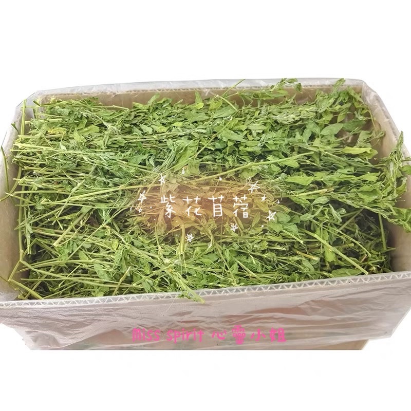 心靈小姐 現貨細梗好咀嚼嫩葉 兔子 龍貓 天竺鼠 特級苜蓿草綠草 紫花苜蓿草 甜燕麥 提摩西 高蛋白 高鈣 蝦皮購物