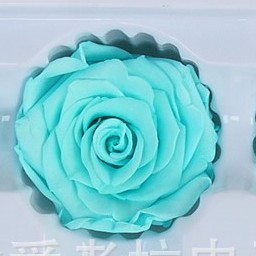台灣現貨 永生玫瑰花多種尺寸 永生花不凋玫瑰不凋花玫瑰花頭手作花材玫瑰玫瑰花乾燥花黑玫瑰 蝦皮購物