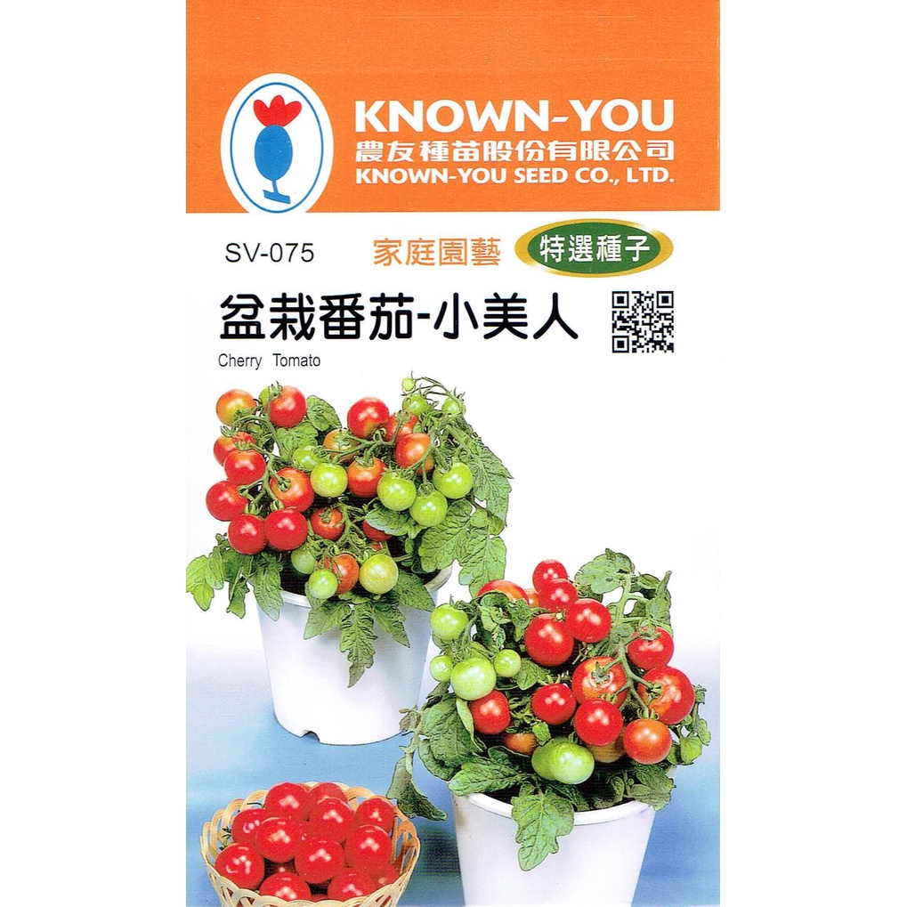 尋花趣  盆栽番茄 小美人(矮性、果實多) 農友種苗 特選種子 每包約8粒 (適合家庭、公司、單身栽重)