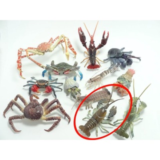 逸品 原色甲殻類エビ カニ図鑑 全12種 ユージン その他 Hlt No