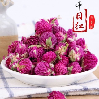 千日紅的價格推薦 21年8月 比價撿便宜