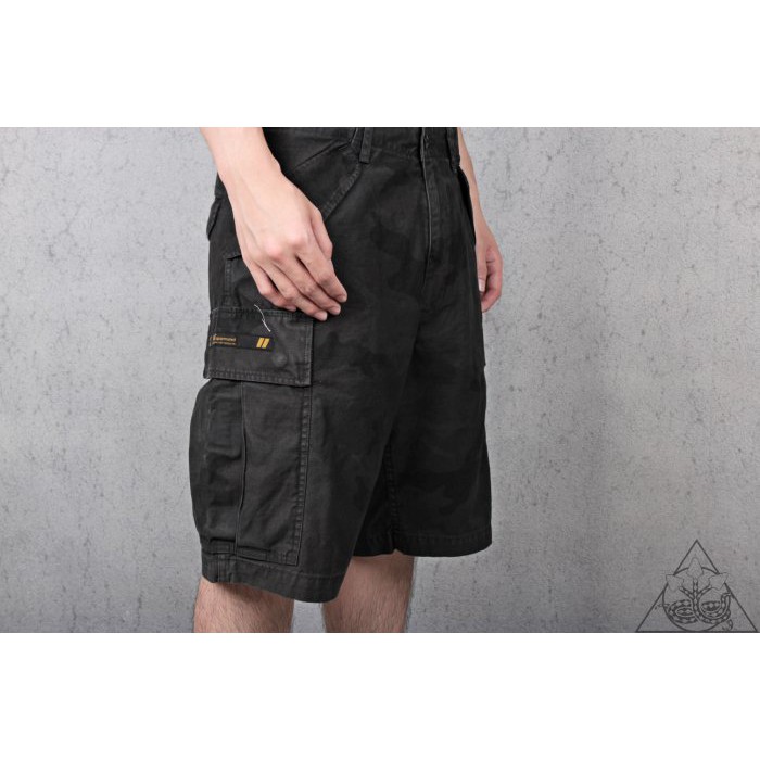 WTAPS 20SS CARGO / SHORT CAMO サイズL-silversky-lifesciences.com