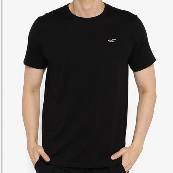 [Hollister]現貨T恤 短T  HCO 海鷗Logo 經典款 保證正品 中和內壢可面交 需提前約時間