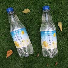 免運現貨 整箱24罐 小分子氣泡水500ml  原味/檸檬/水蜜桃 市價696元 10倍蝦幣回饋