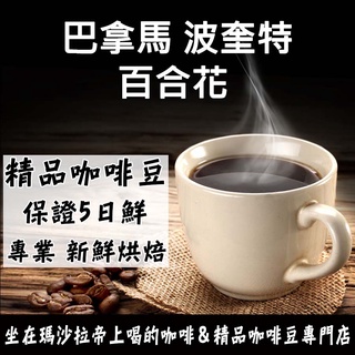 巴拿馬 波奎特 百合花 半磅《精品咖啡豆×接單新鮮現烘》熟豆 新鮮不貴 探索美味莊園豆 精品豆 單品咖啡 莊園豆 精品
