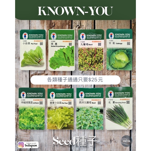 KNOWN-YOU DIY種子 農友 北蔥 小白菜 蔬菜 家庭 園藝 栽培 種苗 植作 各類種子 蔬果