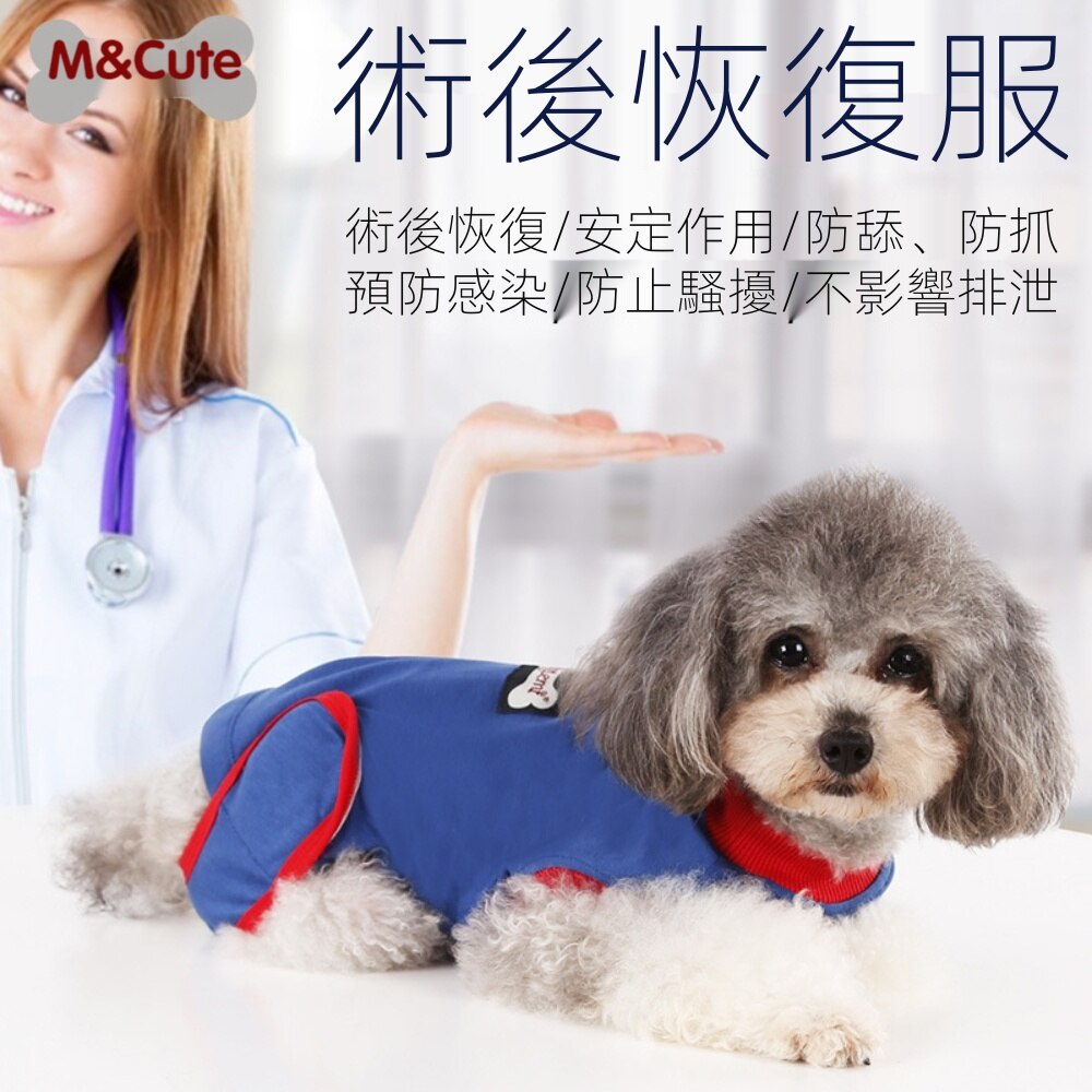寵物狗狗衣服 Ptt Dcard討論與高評價網拍商品 2021年10月 飛比價格
