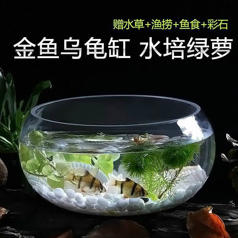 圓型透明玻璃魚缸剛崗鋼金魚小小型兩用花盆缸園大號烏龜共養外置1 蝦皮購物