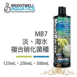 BWA 百威 BrightWell 淡水 海水 複合硝化菌種 125 / 250 / 500ml 即期良品 美國原裝進口