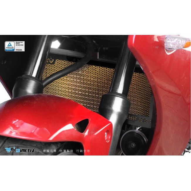 【R.S MOTO】HONDA CBR250R 水箱護網 基本款 黑鋁框 德國DIMOTIV DMV