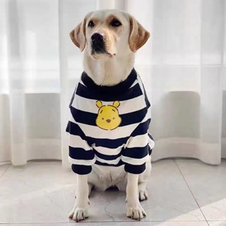 [Ready Stock] 狗狗衣服大型犬潮牌春秋衣服拉布拉多金毛網紅衣服衣服寵物狗衣服