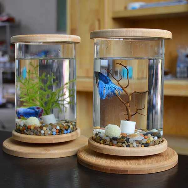 懶人魚缸 小魚缸 迷你小魚缸創意斗魚專用缸小型造景生態瓶家用客廳辦公室圓型魚缸