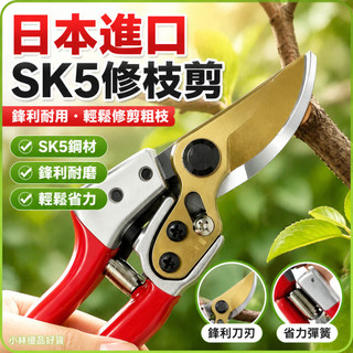 修枝剪 SK5鋼 耐磨輕鬆剪刀 日本原裝進口修枝剪粗枝剪高枝剪SK5鋼大號園林花樹耐磨輕鬆剪刀