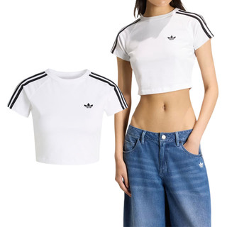 Adidas Sst Baby Tee 女款 白色 三葉草 短版 緊身 運動 休閒 短袖 KG3699