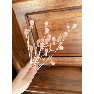 永生小紫薊 迷你紫薊 不凋紫薊 乾燥花 永生花 手作花束 不凋花 DIY手作 聖誕花圈 聖誕樹