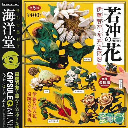 現貨 Kaiyodo 扭蛋轉蛋海洋堂伊藤若沖花卉立體圖鑑手毬花 蝦皮購物