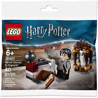 **LEGO** 正版樂高30407 哈利波特系列 哈利波特的霍格華茲之旅Polybag 全新未拆 現貨