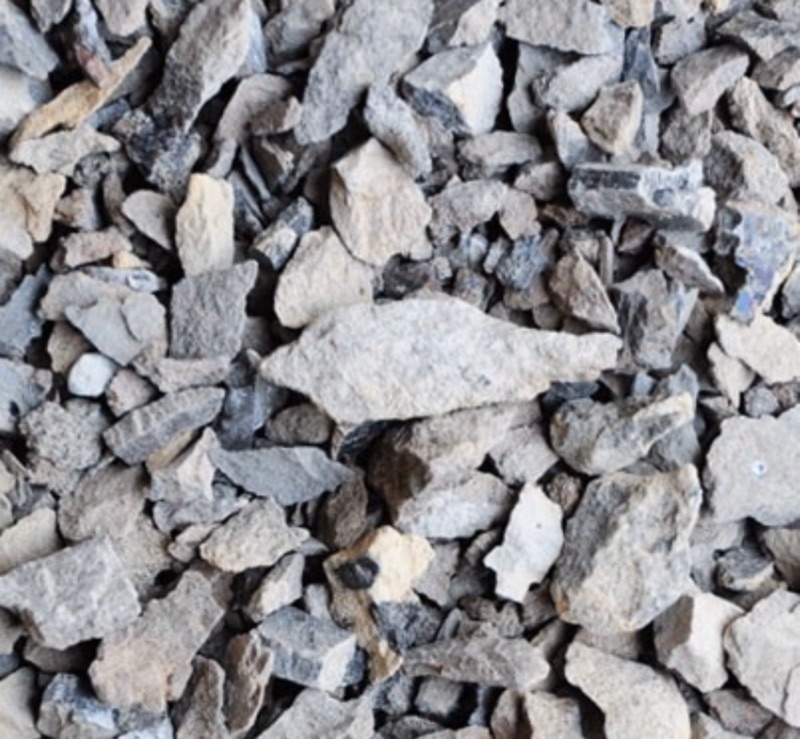 台中電土那裏買 蘋果健康咬一口