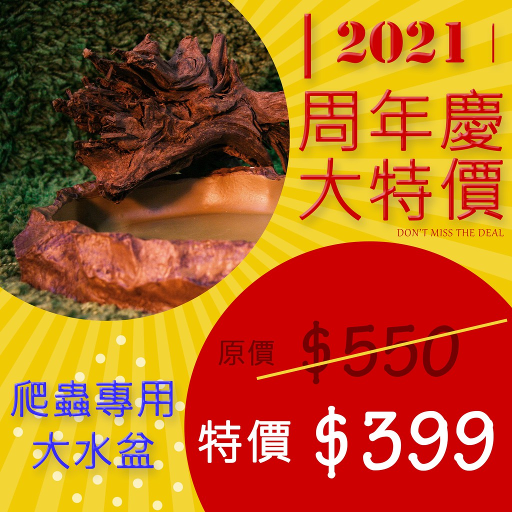 大特價 - 爬蟲專用大水盆(成龜使用)🐢 原價$550 -【促銷大降價$399元】