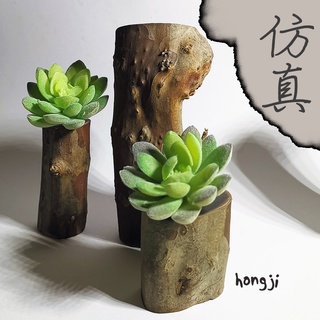 多肉 模擬多肉 微景觀 P42 假多肉植物 辦公室小物 生日禮物拍照道具居家裝飾咖啡屋商店擺飾迷你木頭底座盆栽
