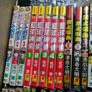 電視小豹王全3冊/籃球神偷全5冊/禁止吸血共3冊(典)