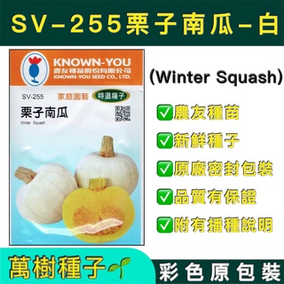 【萬樹種子】 SV-255 栗子南瓜-白 特選蔬果種子 農友種苗 彩色密封 原廠包裝