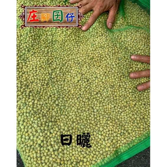【庄腳囝仔】自家種植  100%台灣黃豆-非基因改良黃豆  自作豆漿香濃好喝，合購超過五公斤請分批下單