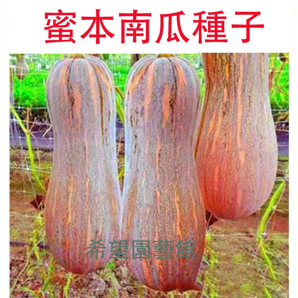 栗南瓜 優惠推薦 2021年12月 蝦皮購物台灣