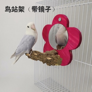 【嚕寶寵物】新款 鳥站架 寵物用品玩具鳥鏡子鸚鵡鏡子花椒木鏡子鸚鵡專用鏡子寵物鳥玩具牡丹玄鳳虎皮站架