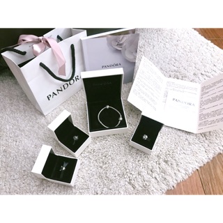 Pandora手鍊串飾
