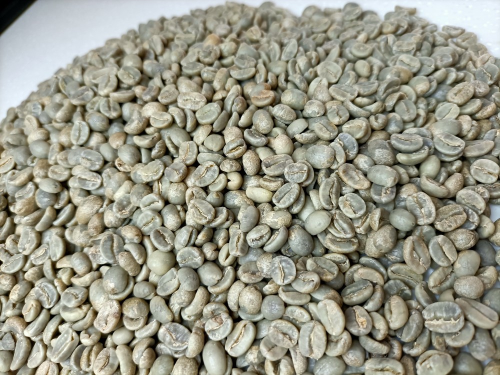 台湾珈琲生豆 700g