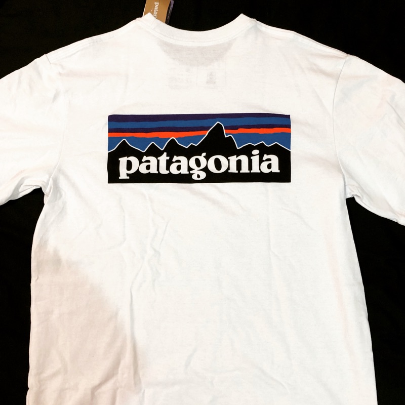 Patagonia P-6 Logo Organic Cotton 短T