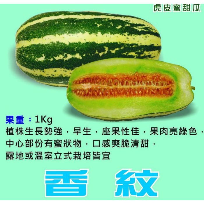 【蔬菜種子S332】香紋虎皮蜜甜瓜~果肉亮綠色，中心部份有蜜狀物，口感爽脆清甜。