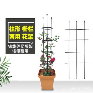 【實用】【品質保證】家用鐵藝花盆支架月季花架爬藤架室內客廳鐵線蓮庭院支架桿攀爬架園藝種植花架 花爬架 花卉支架