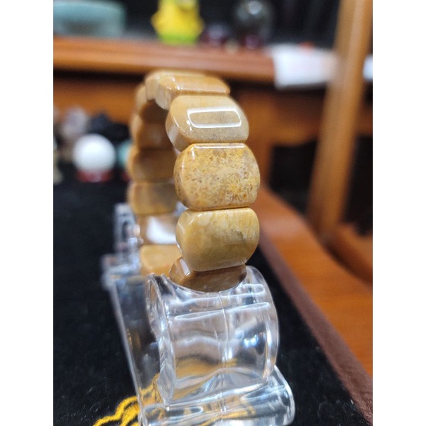 黃金 珊瑚玉手排 菊花石 厚切 大版 19.8 mm 手鍊 手珠 手串