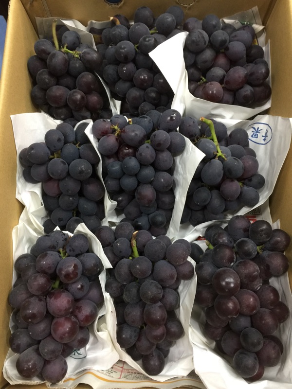 溫室特級巨峰葡萄5公斤裝整串6-9串裝| 蝦皮購物
