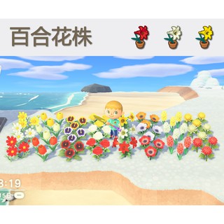 最も欲しかった 百合球根動森 誕生日ライン友達