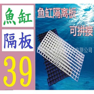 【臺灣現貨不用等】水族箱魚缸底濾網格 底濾板 隔離板 網隔板格子板 淡海水適用 拼接方格隔板 方隔板