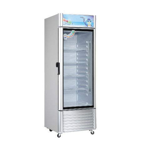 （B11-1）一路領鮮風冷全藏單門玻璃冰箱/252L/單門玻璃氣冷/營業用/全藏/XLS-280