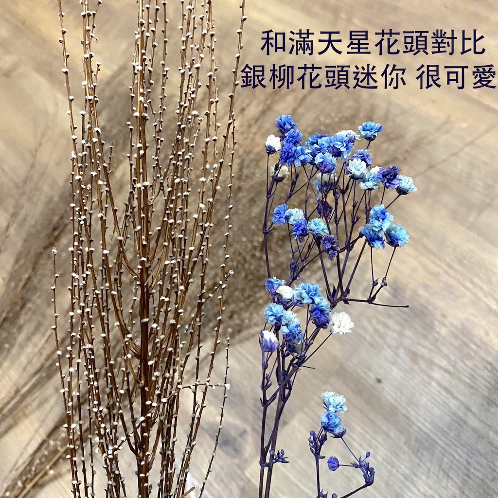 小源永生花小銀柳貓柳特殊配材乾燥花材永生花材花藝diy 蝦皮購物