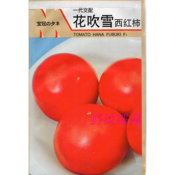 【萌田種子~】L31 花吹雪蕃茄種子5粒 , 大果 , 極早生品種 , 每包16元~
