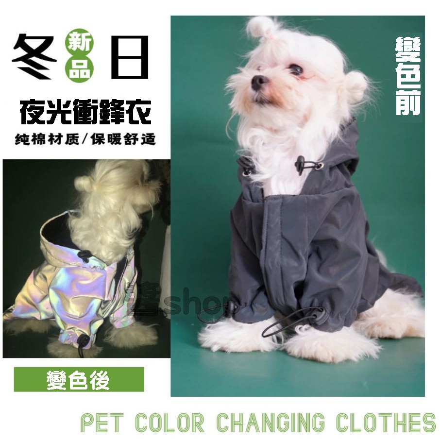 台湾犬价格ptt 台湾犬价格ptt Akutelupicjp