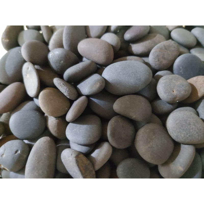 水族底砂 黑扁石 1~2KG 1包/造景底砂 濾材 淨水 造景 園藝裝飾 水生專門