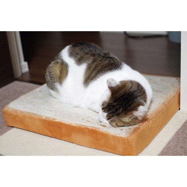 吐司坐墊 貓咪坐墊 座墊 靠墊 椅墊 貓床 狗床 寵物坐墊 寵物睡墊 吐司坐墊 麵包切片 吐司